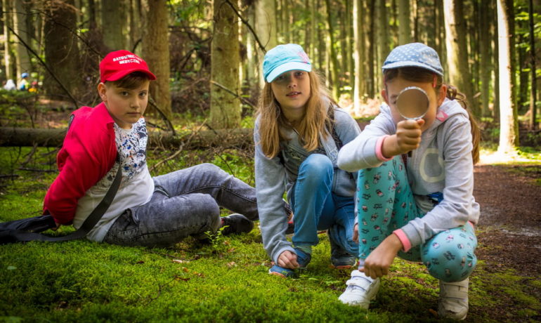 AlphaCamp naukowy - zajęcia przyrodnicze